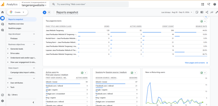 Apa Itu Google Analytics